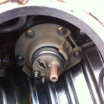 IMG_3482 IMG_3482