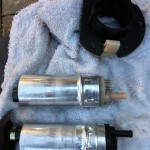 IMG_3509 IMG_3509